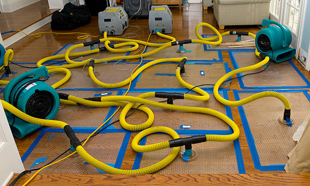 Professional Crawl Space Water Removal technician working in Portersville, PA